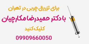 بهترین دکتر تزریق چربی در تهران - دکتر حمیدرضا مکارچیان